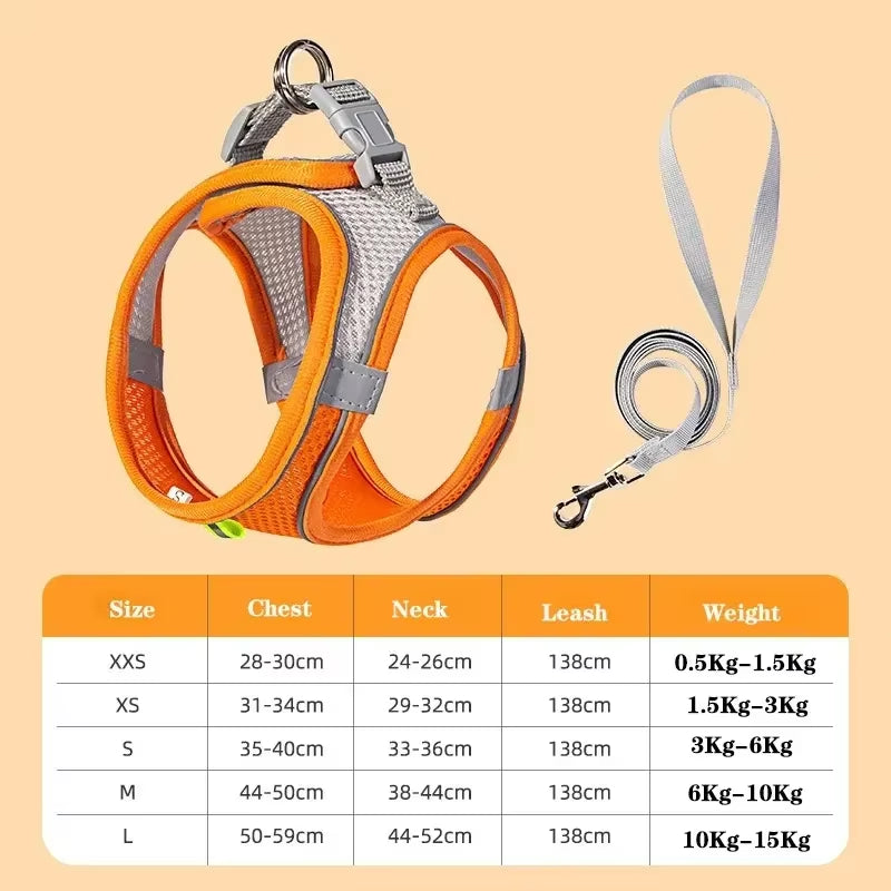 Cat Harness and Belt Set Breathable Accessories for Cats Pet Products Necklace Collar Pets Supplies Home Collars Things Cats