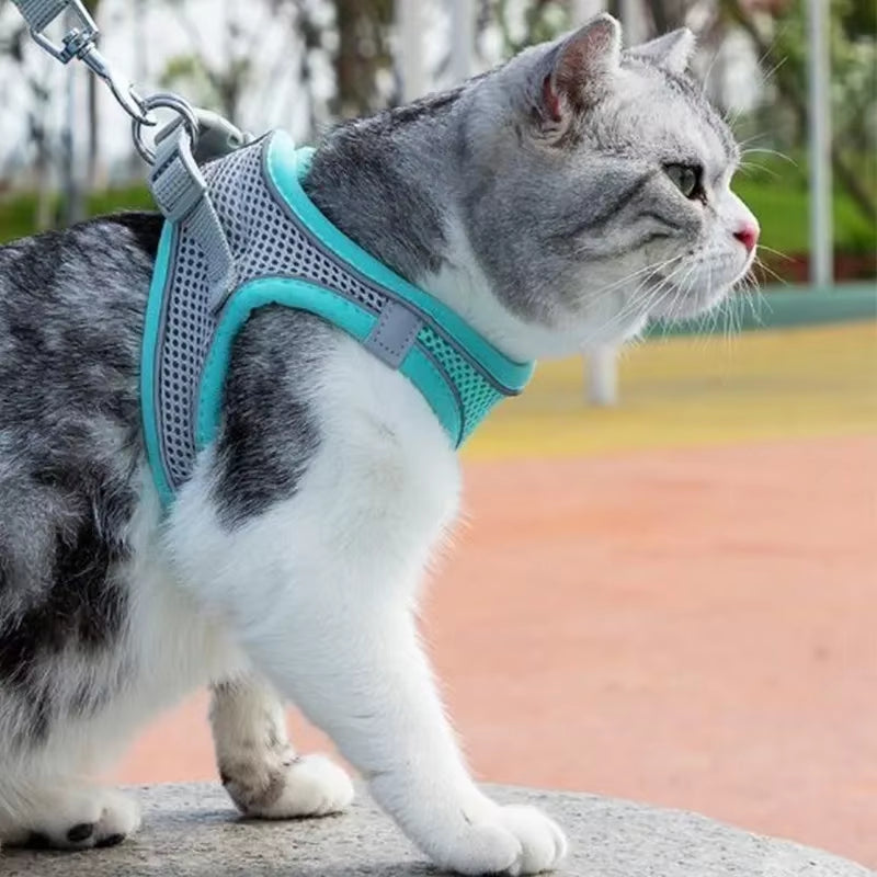 Cat Harness and Belt Set Breathable Accessories for Cats Pet Products Necklace Collar Pets Supplies Home Collars Things Cats