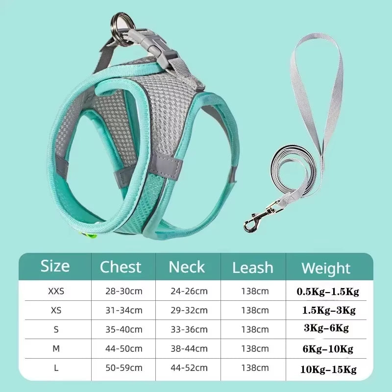 Cat Harness and Belt Set Breathable Accessories for Cats Pet Products Necklace Collar Pets Supplies Home Collars Things Cats