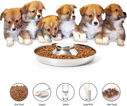 Stainless Steel Puppy Bowls, Set of 2 Puppy Feeder, Dog Food and Water Bowl, Food Feeding Weaning for Small Medium Large Dogs, Pets, M