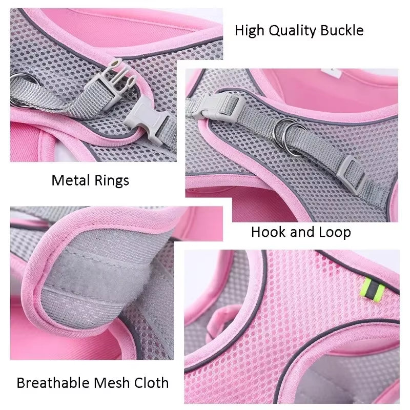Cat Harness and Belt Set Breathable Accessories for Cats Pet Products Necklace Collar Pets Supplies Home Collars Things Cats