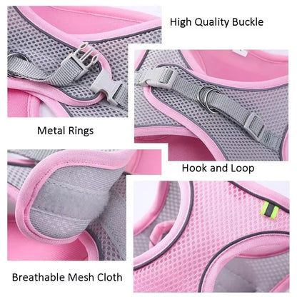 Cat Harness and Belt Set Breathable Accessories for Cats Pet Products Necklace Collar Pets Supplies Home Collars Things Cats