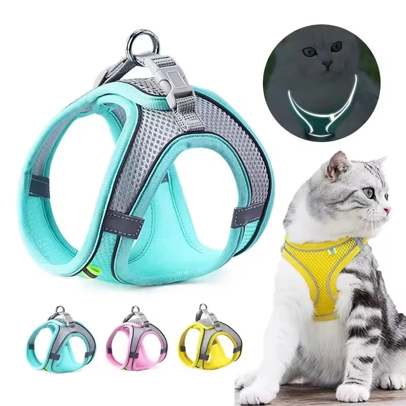 Cat Harness and Belt Set Breathable Accessories for Cats Pet Products Necklace Collar Pets Supplies Home Collars Things Cats