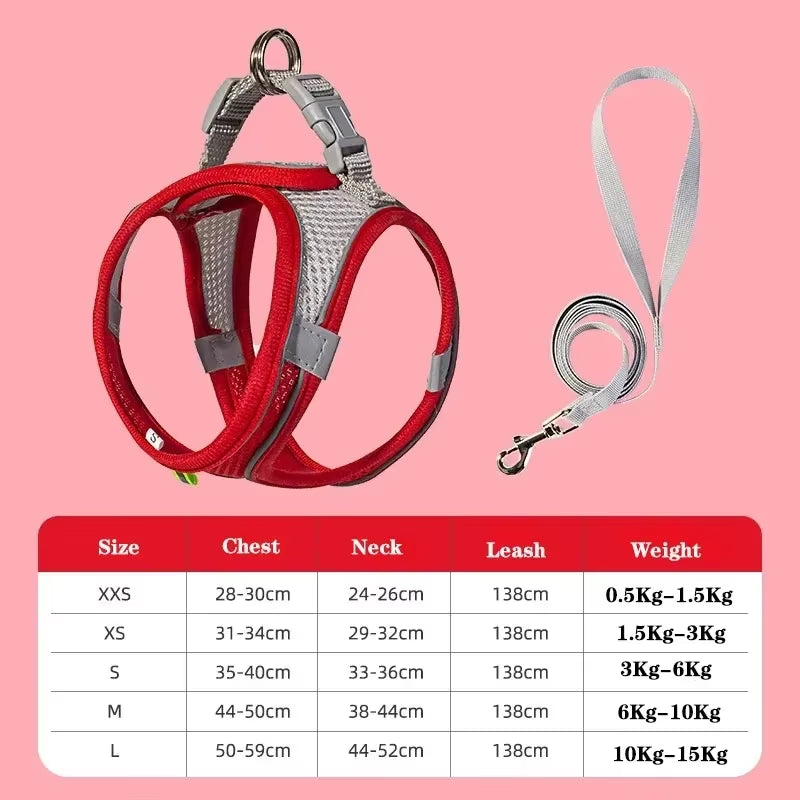 Cat Harness and Belt Set Breathable Accessories for Cats Pet Products Necklace Collar Pets Supplies Home Collars Things Cats