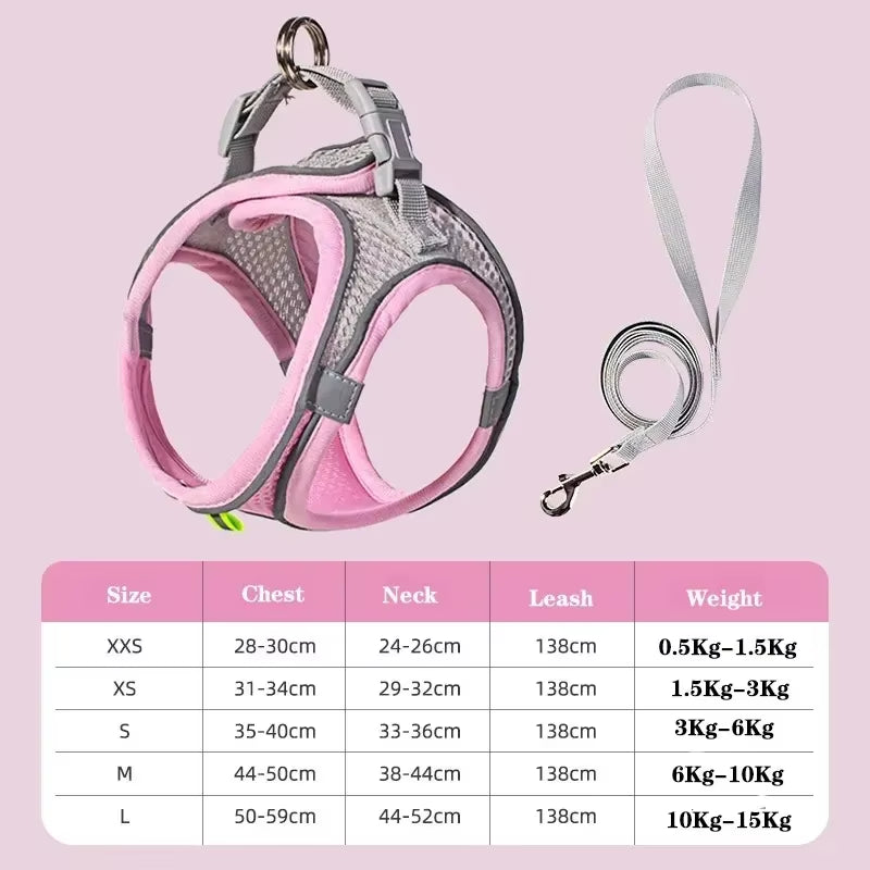 Cat Harness and Belt Set Breathable Accessories for Cats Pet Products Necklace Collar Pets Supplies Home Collars Things Cats